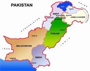 Differences in PML-N over support to PPP-led Govt. to save Pakistan