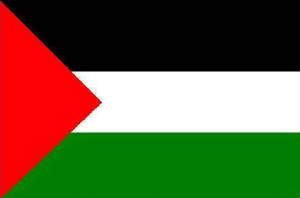 Palestinian Flag