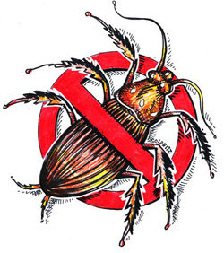 Scientists develop ecological engineering to control pests