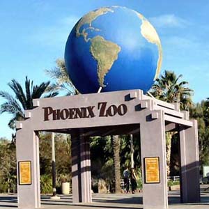 62-pound snapping turtle in a pond outside the Phoenix Zoo