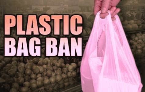 Rs 5000 Fine For Possessing Banned Plastic In Delhi Green Court