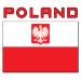 Poland's national bank: too early for first stage of euro