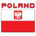 Veterans recall Warsaw Uprising