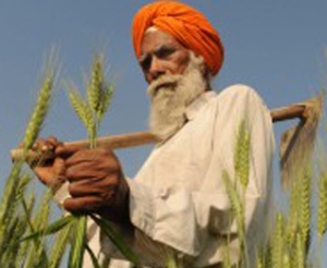 Punjab-govt-farmers