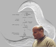 RNA interference