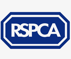 RSPCA workers pose nude for tongue-in-cheek calendars