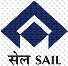 SAIL's FPO expected by next year only