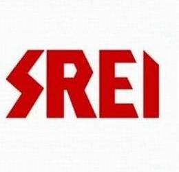 SREI Shares Fell By 14%