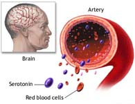 Serotonin
