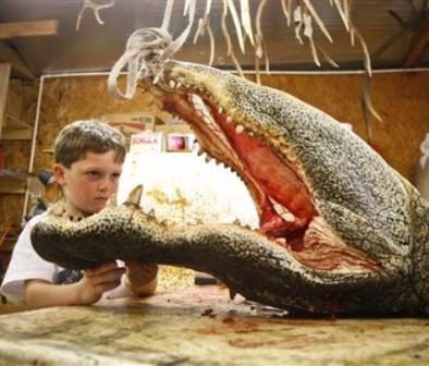 Texan boy, 5, kills 800-pound alligator!