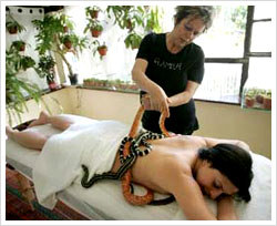 Give it up for the newest relaxing trend - snake massage!
