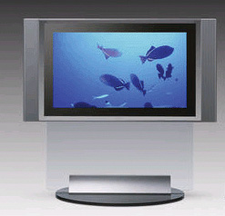 Sony Flat Screen TV