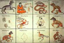 Sowa Rigpa, ancient Tibetan medicine gets official status