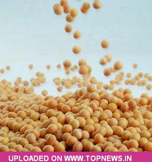Commodity Trading Tips for Soyabean by KediaCommodity