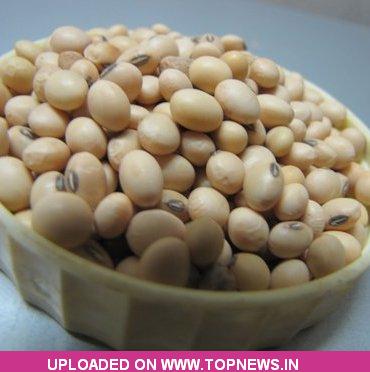 Soyabean