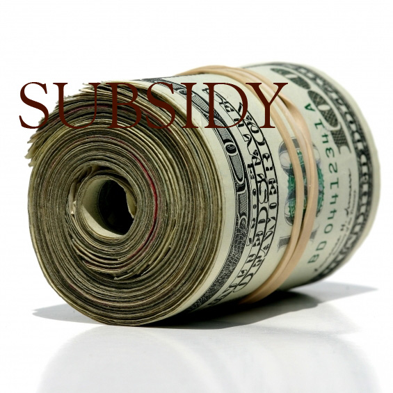 Subsidy