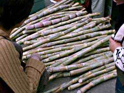 Sugarcane farmers want state control over pricing to go