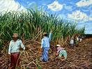 India's sugar mills demand duty-free raw sugar imports