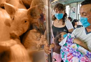 Thailand reports "suspected" influenza A H1N1 case