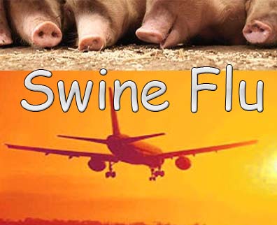 Swine Flu