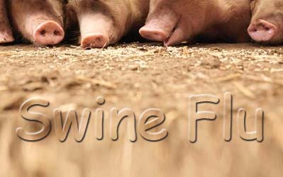 School closes in Chile over case of swine flu