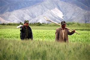 To protest Chinese rule Tibetan farmers refuse to sow spring crops