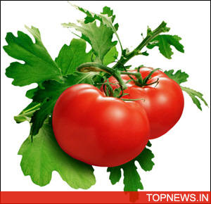 Tomatoes can help treat endometriosis