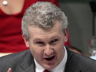 Conservationists campaign against resuming of commercial whaling