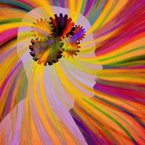 Traumatic brain injuries can be healed by Sex hormone