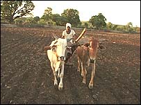 VIDARBHA FARMERS