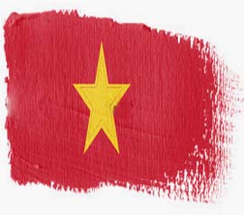 Vietnam users annoyed as government blocks Facebook