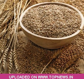 Commodity Trading Tips for Wheat by KediaCommodity