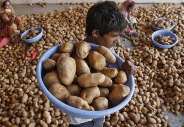 Inflation rises to 7.55 per cent in May