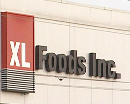 XL Foods to recall 800 laid-off workers
