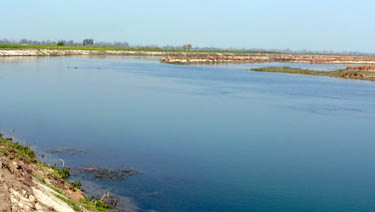 Yamuna river