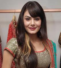 Ali Merchant And Aanchal Kumar Out Of Bigg Boss 4