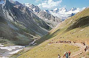 2,883 pilgrims leave for Amarnath shrine