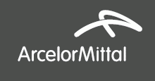 ArcelorMittal picks 49% stake in Mineracao Piramide