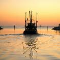 Australia Fisherman