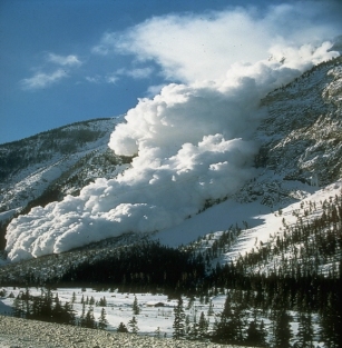 Avalanches in Canada leave eight missing