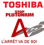 French group Areva or Japan's Toshiba