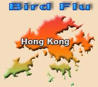 Bird Flu in Hong Kong