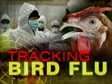 New bird flu case in China