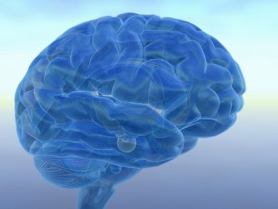 Scientists Identify "Significant Abnormalities" in Drug Addicts