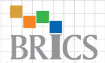 Brics Securities