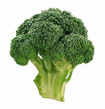 Broccoli Juce Can Fight Bladder Cancer