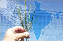 Farmers in Maharashtra hope for mega bonanza in forthcoming budget