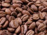 Waste Coffee Grounds Are Best Biofuel Ever 