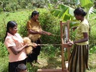 upgrade technology for coir industry