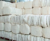 Centre announces cotton exports at 55 lakh bales 